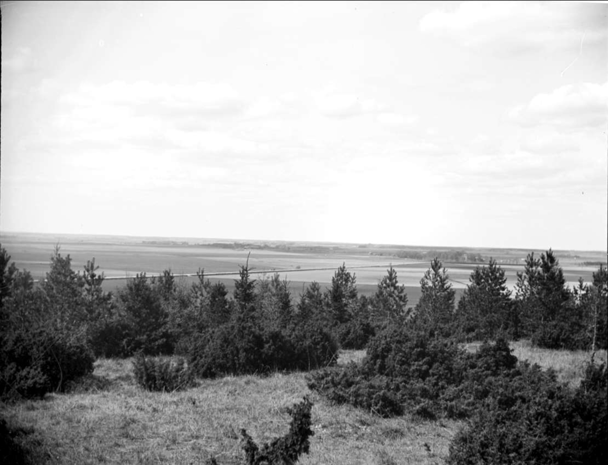 August Fredrik Schagerström, “Old Upsala, View of Bälinge from Tunåsen” 1915