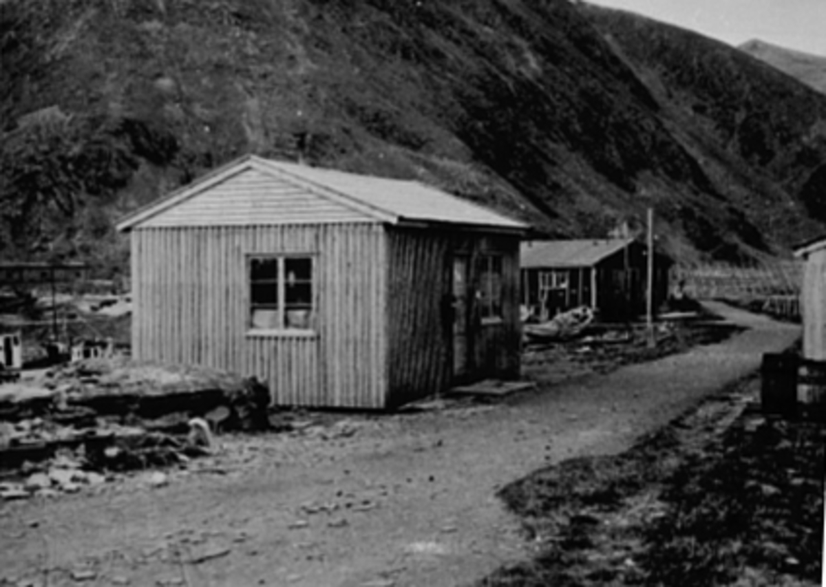 Anno Domkirkeodden, Sørværkomiteen 1946 - 1954, reiste på befaring i forbindelse med oppbygging av fiskeværet etter krigen. Hus på Sørvær som ble bygd. Se NO-31061-01 og bl. a. 0401-08566 til 0401-08571.