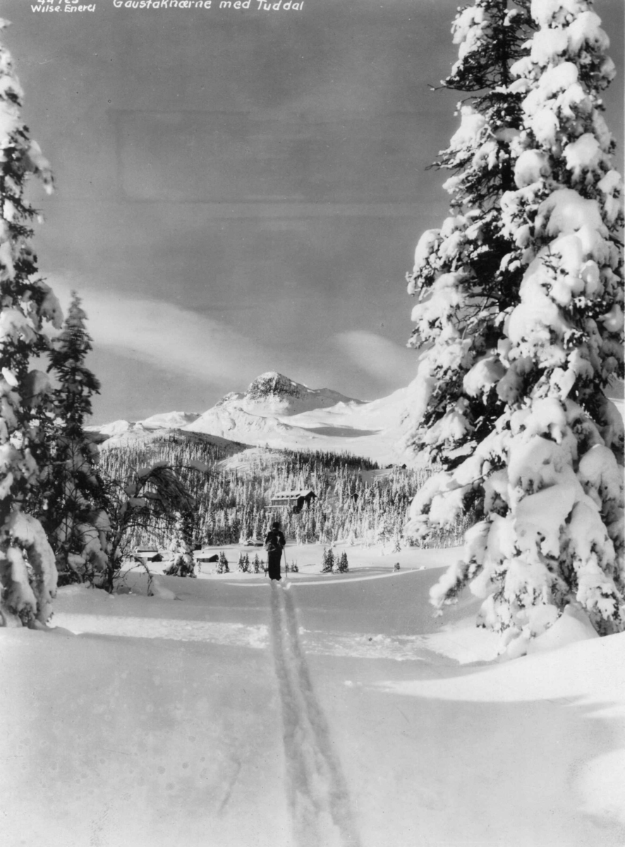 Anders Beer Wilse, Gaustadknærne, Hjartdal, Tuddal, Telemark.