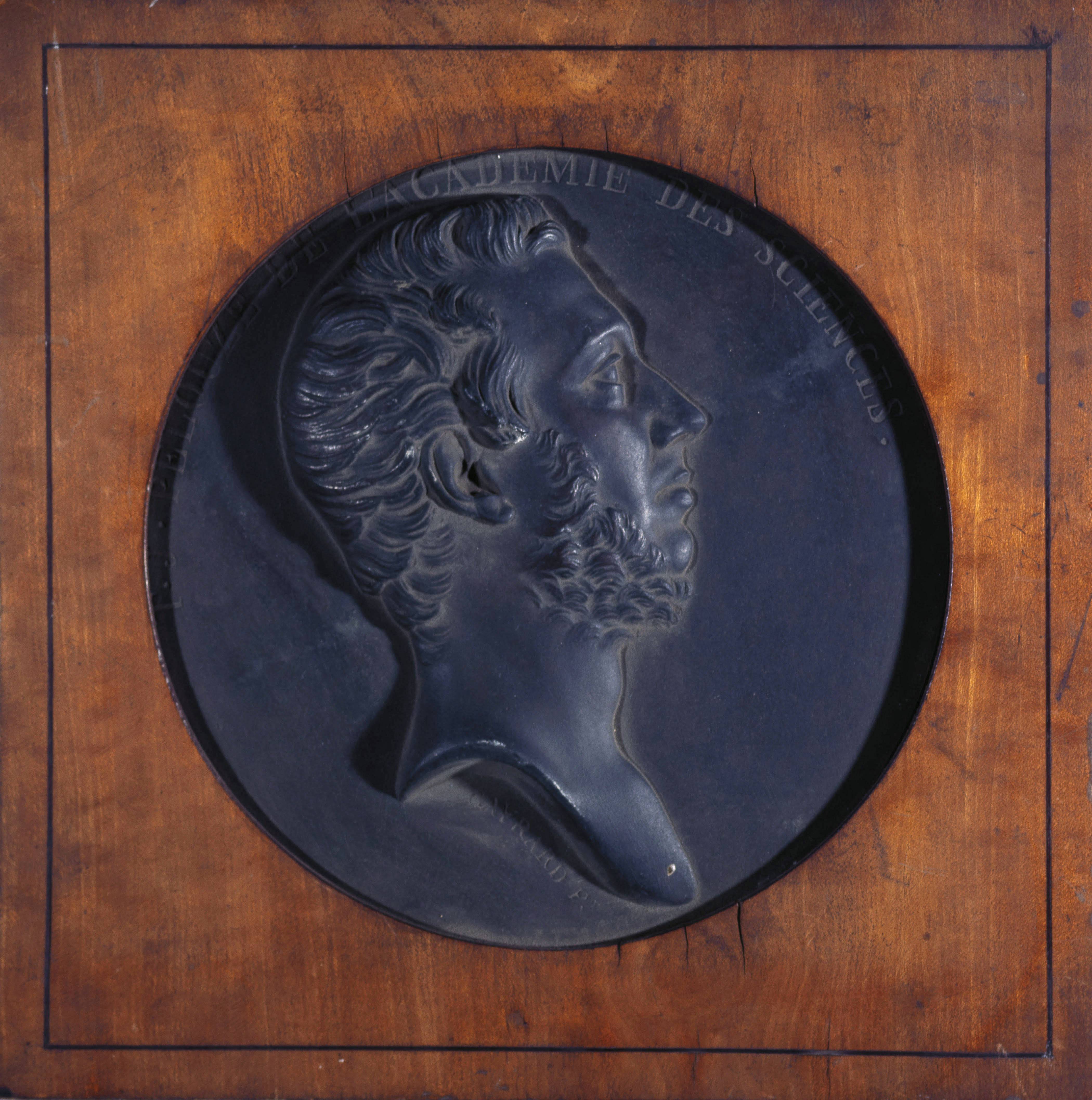 Raymond Gayrard, Portrait de Théophile-Jules Pelouze (1807-1867), chimiste
