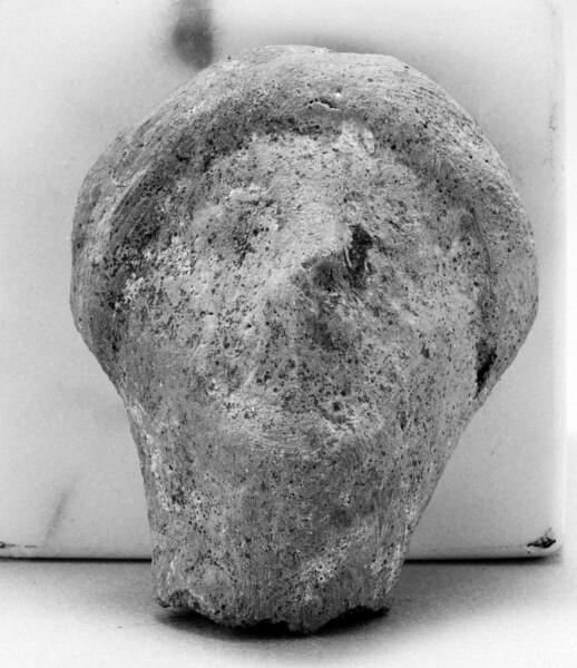Unknown, Human Head