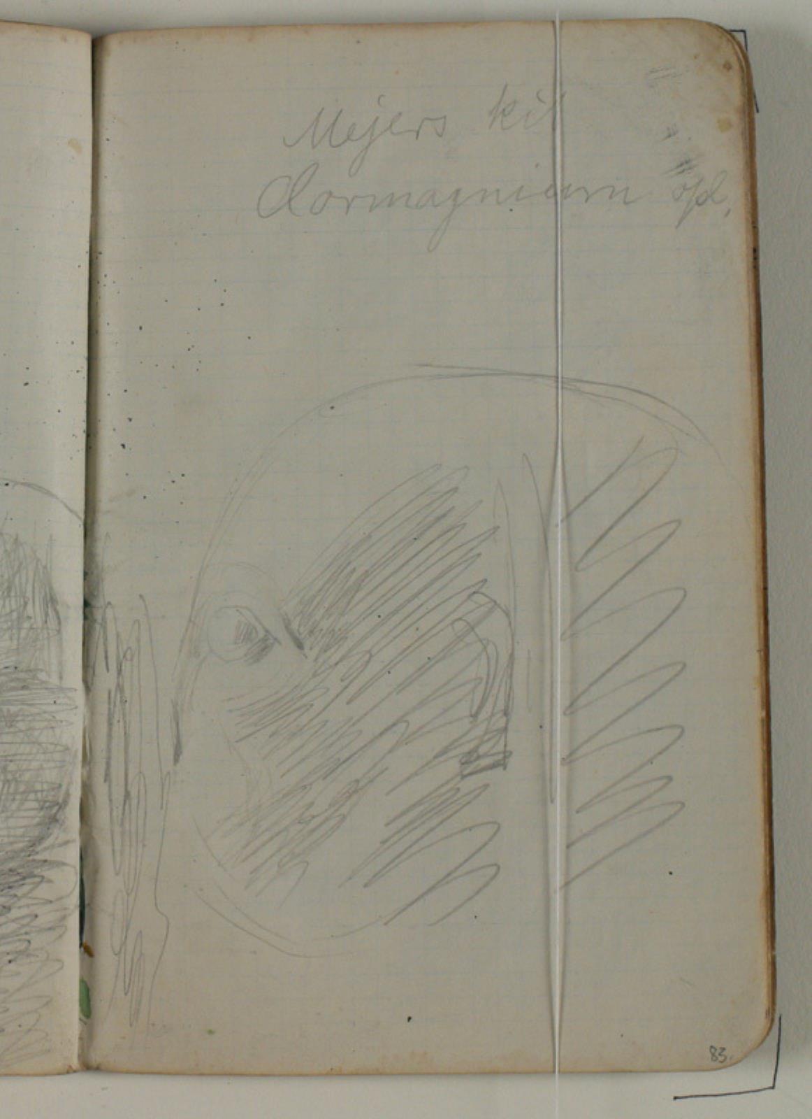 Niels Larsen Stevns, Studier af ægyptiske statuehoveder. Notat