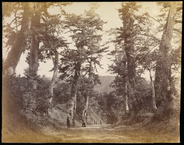 Felice Beato, View on the Tokaido