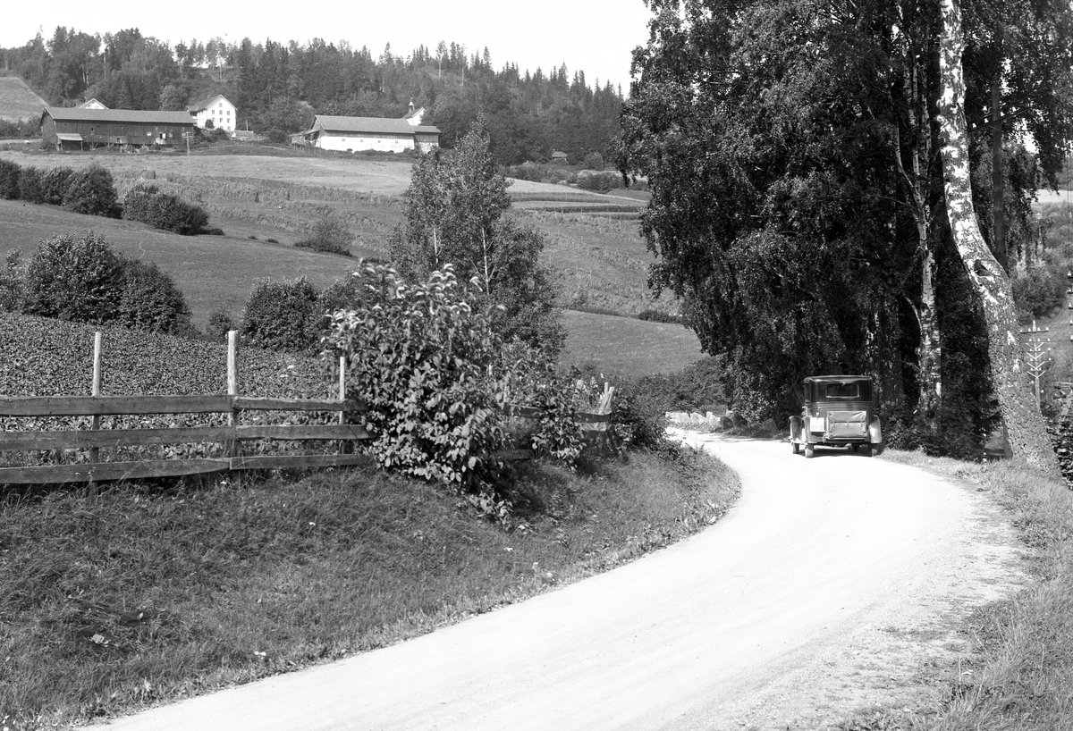Anders Beer Wilse, Prot: Biri
