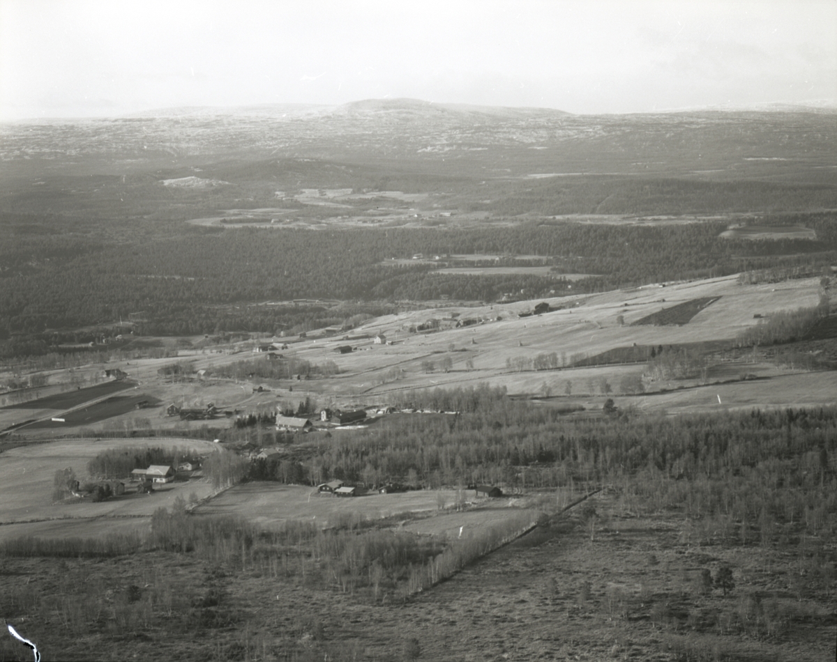 Jan Erik Øvergård, Gardsbruk Dalsbygda