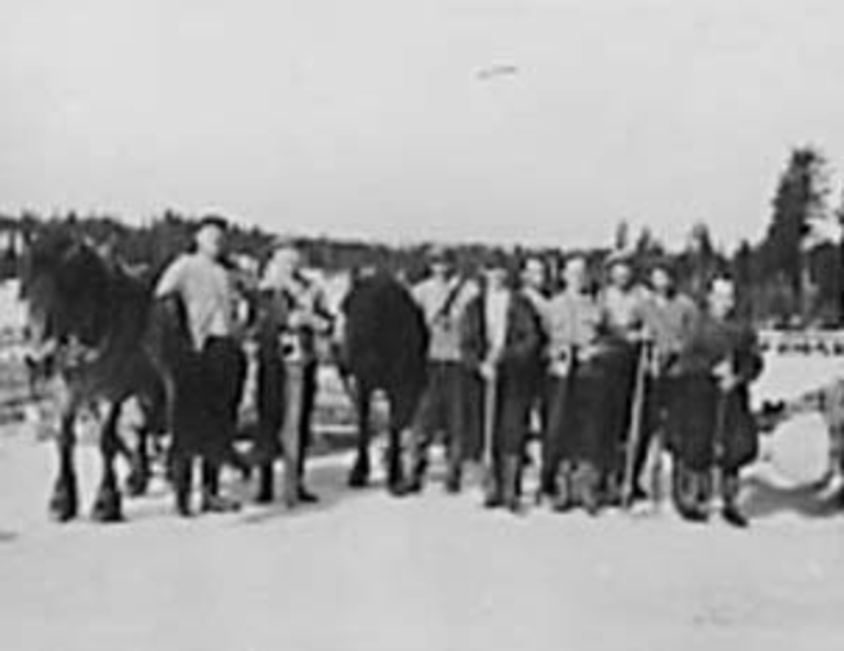 Anno Domkirkeodden, TØMMERKJØRERE MED HESTER, BJØRNSTADFLØTA, ROMEDAL ALLMENNING, FRA VENSTRE: MARTINIUS TØSTI, KRISTIAN OLAFSEN, ANDERS ÅSSTUEN, ERLING SØNSTERUD, TORVALD SJØENDEN, SYVER MÆHLUM, KÅRE JOHANSEN, JOHAN RICHARDSEN, KRISTIAN NORDGÅRD