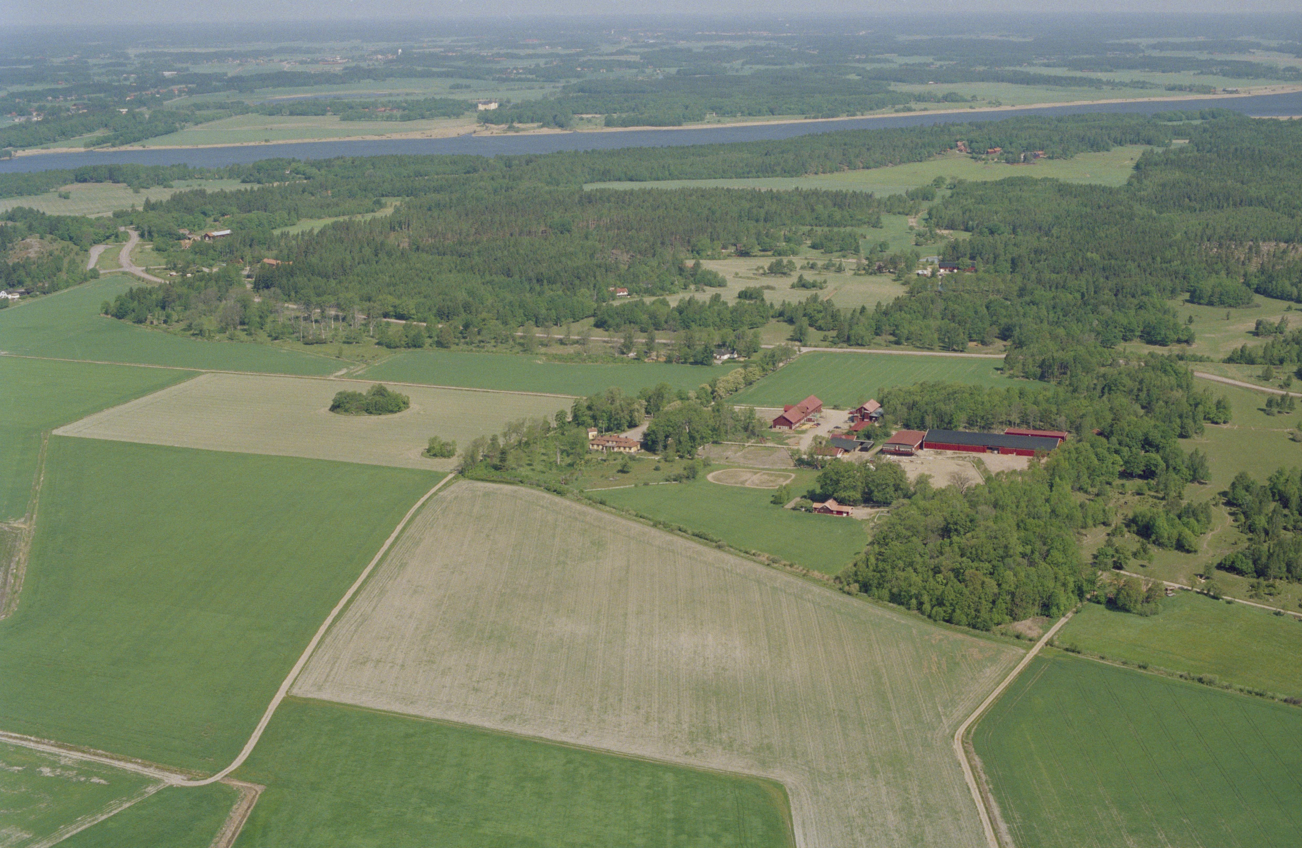 Jan Norrman, Rytterne 225