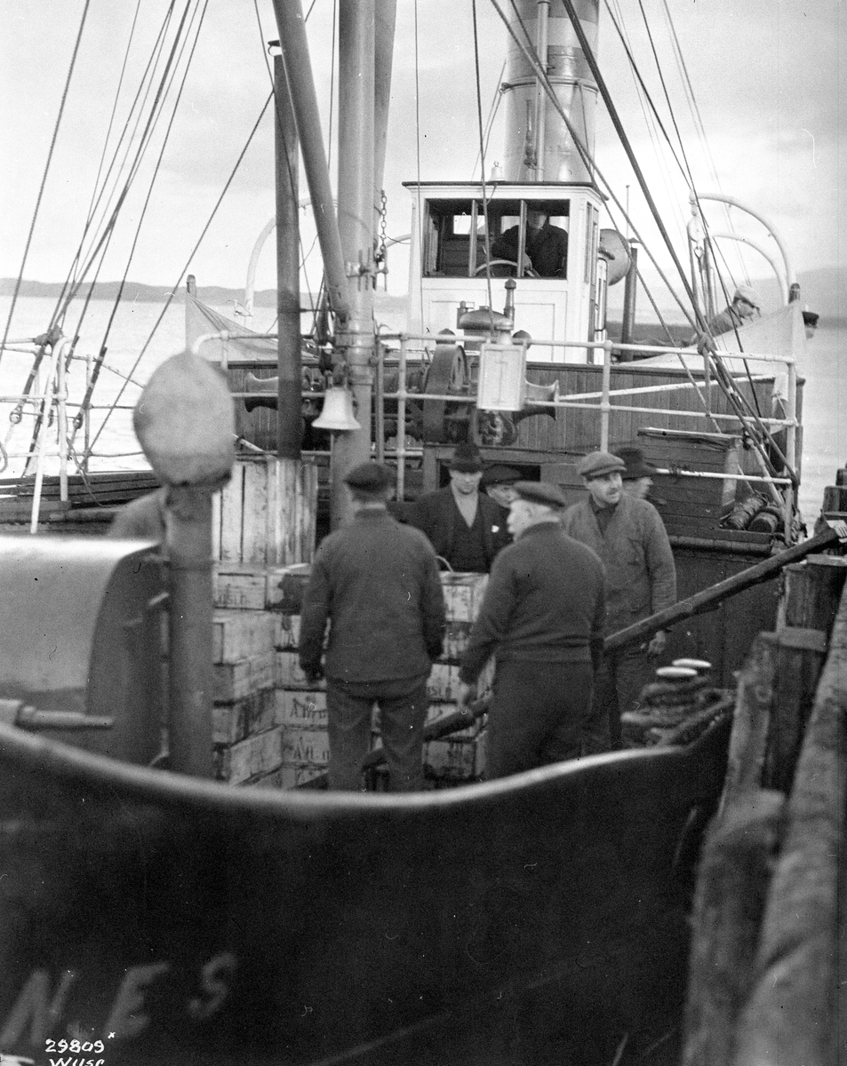 Anders Beer Wilse, Prot: Hvalkjøtlast Konv: Nordre Aukra, last hvalkjøt
