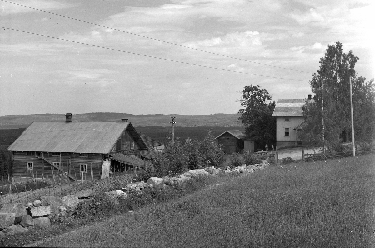 Anno Domkirkeodden, EKSTR: GARDSTUN, ROKOENGA, UNDER VESTENGA, LØTENVESTENGEN. Se Løtenboka, bind 3. Bygdeboka fra 1955, side 616
