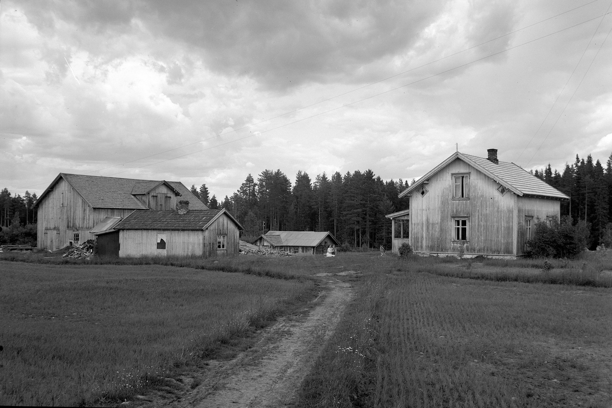 Anno Domkirkeodden, EKSTR: GARDSTUN, RYDNINGSTAD. Se Løtenboka, bind 3. Bygdeboka fra 1955, side 523