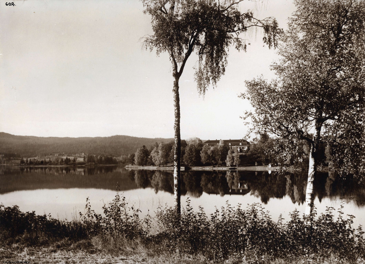 Hermann Christian Neupert, Bokstadvann ved Oslo