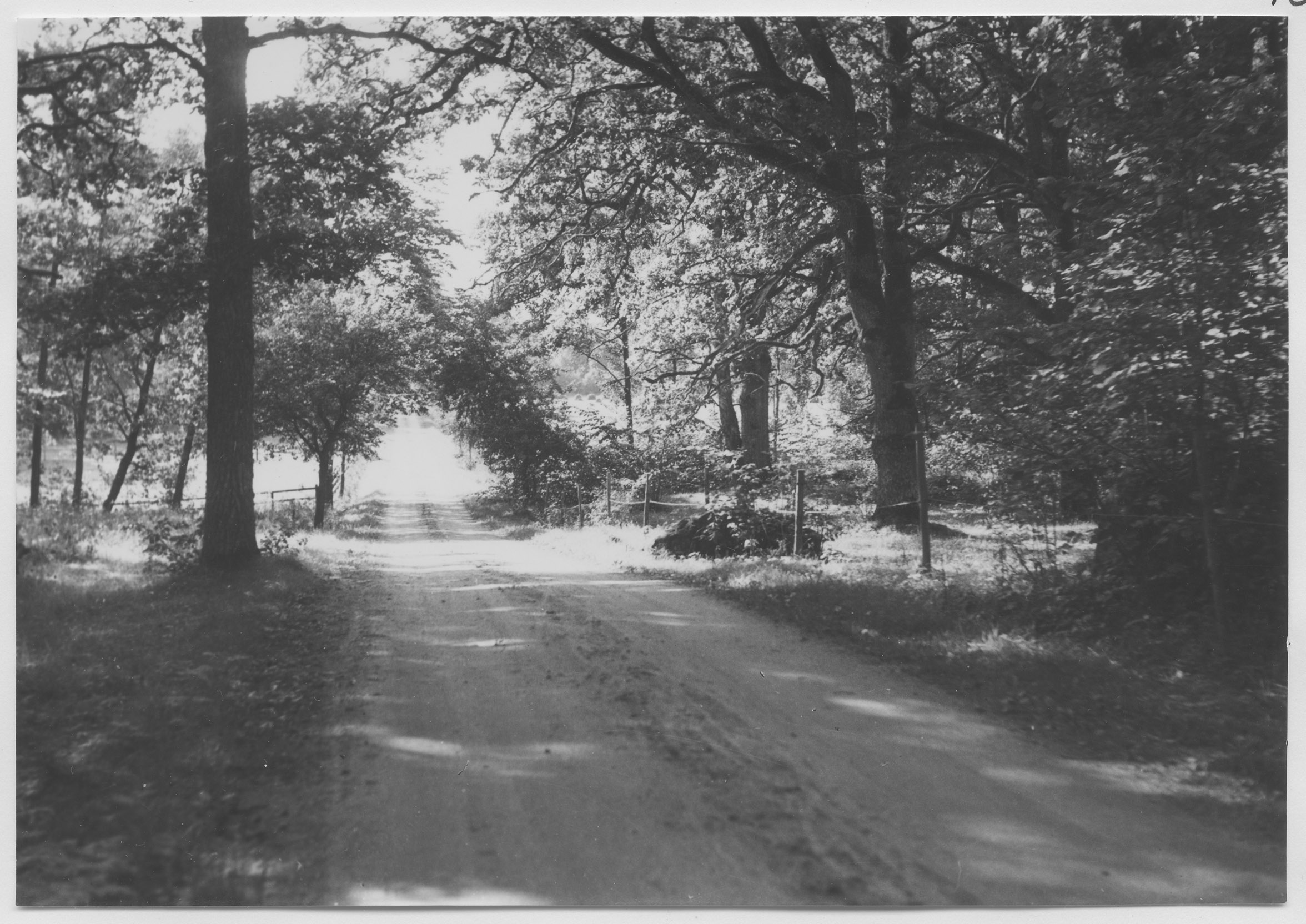 Mårten Sjöbeck, Uddeboö