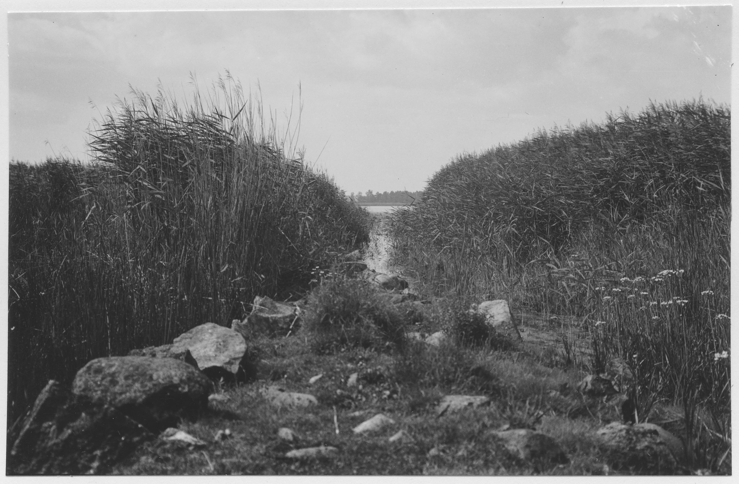 Mårten Sjöbeck, Vibysjön