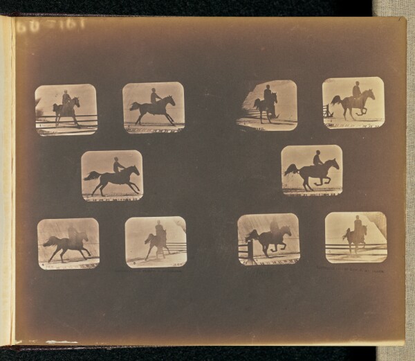Eadweard J. Muybridge, Leaping