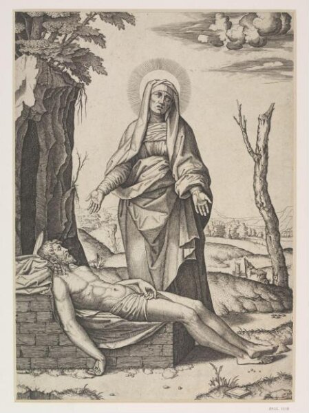 Raphael, La vierge au bras couvert