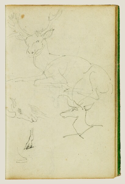 Théodore Géricault, Studies of a seated stag, a fawn, a goat head
