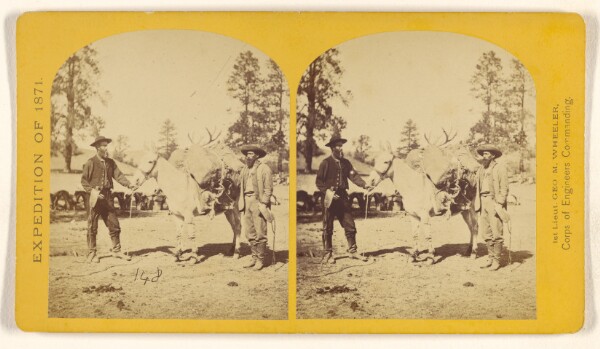 Timothy H. O'Sullivan, Mountain transportation. Pack mule, Pack and Packers.