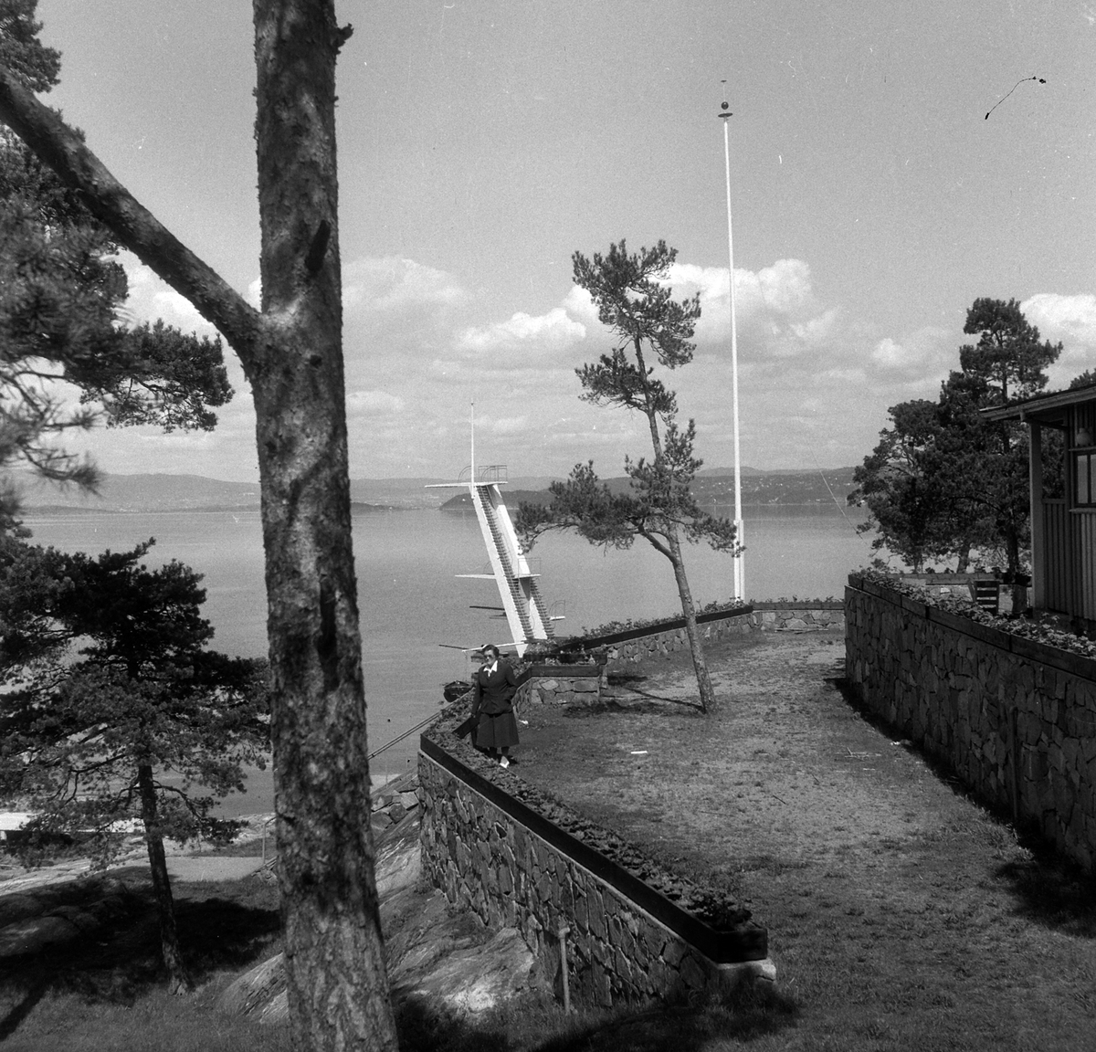 Adolf Skjegstad, ASK-02350
