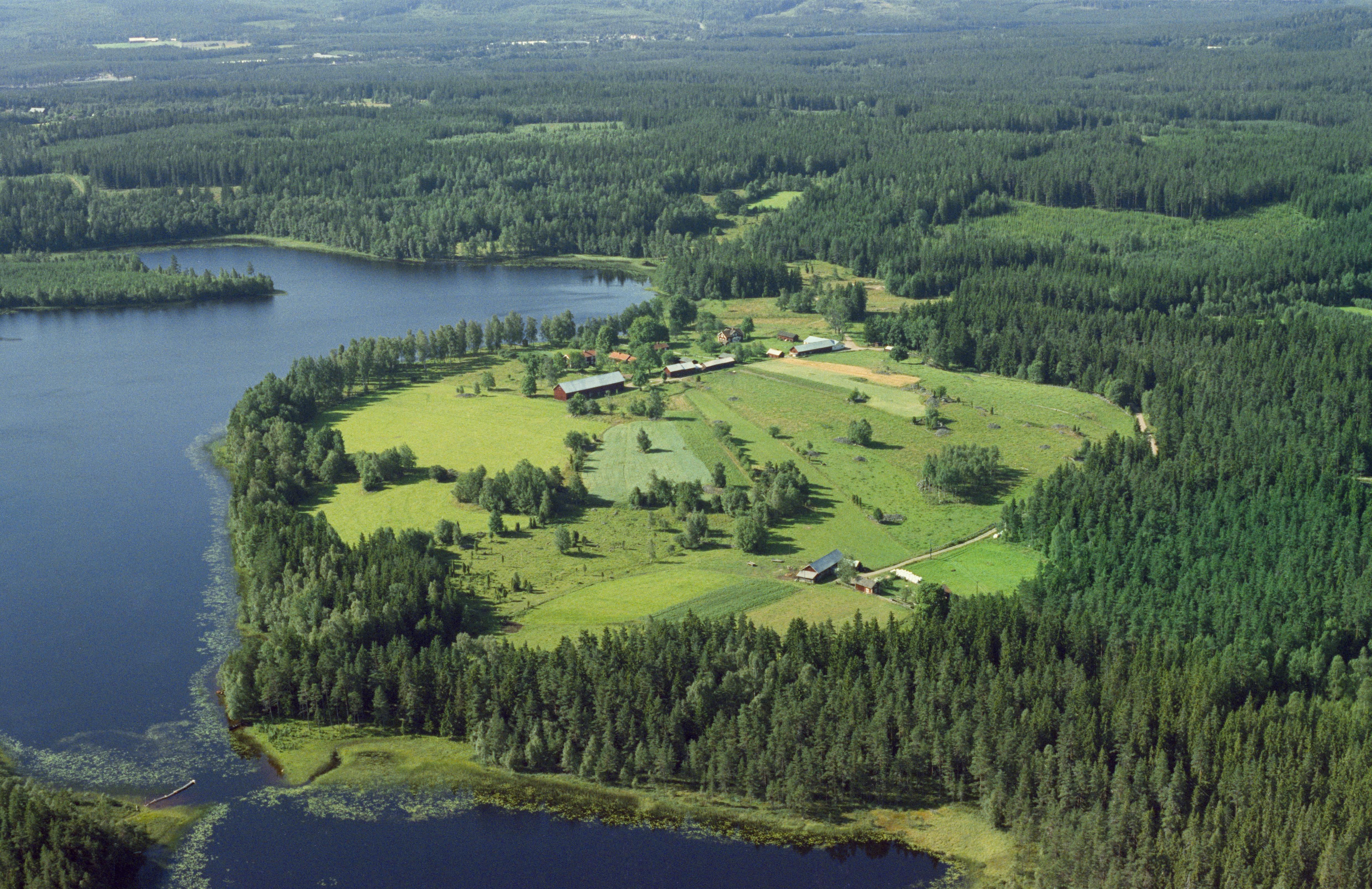 Jan Norrman, Näs i Ingatorp