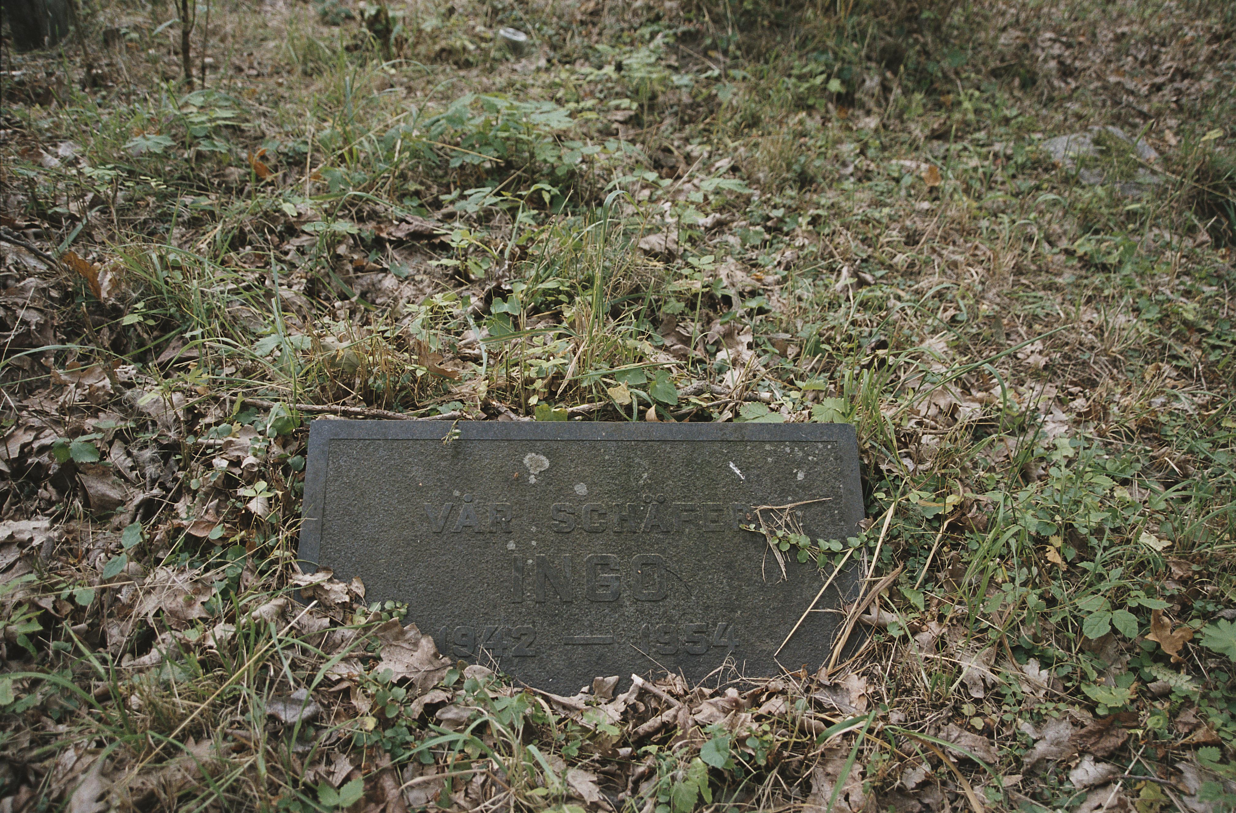 Bengt A Lundberg, Djurkyrkogården vid Kaknäs