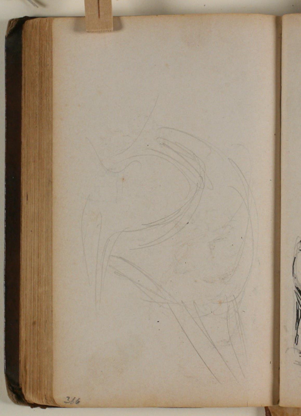 Niels Larsen Stevns, Studie af fugl (?)