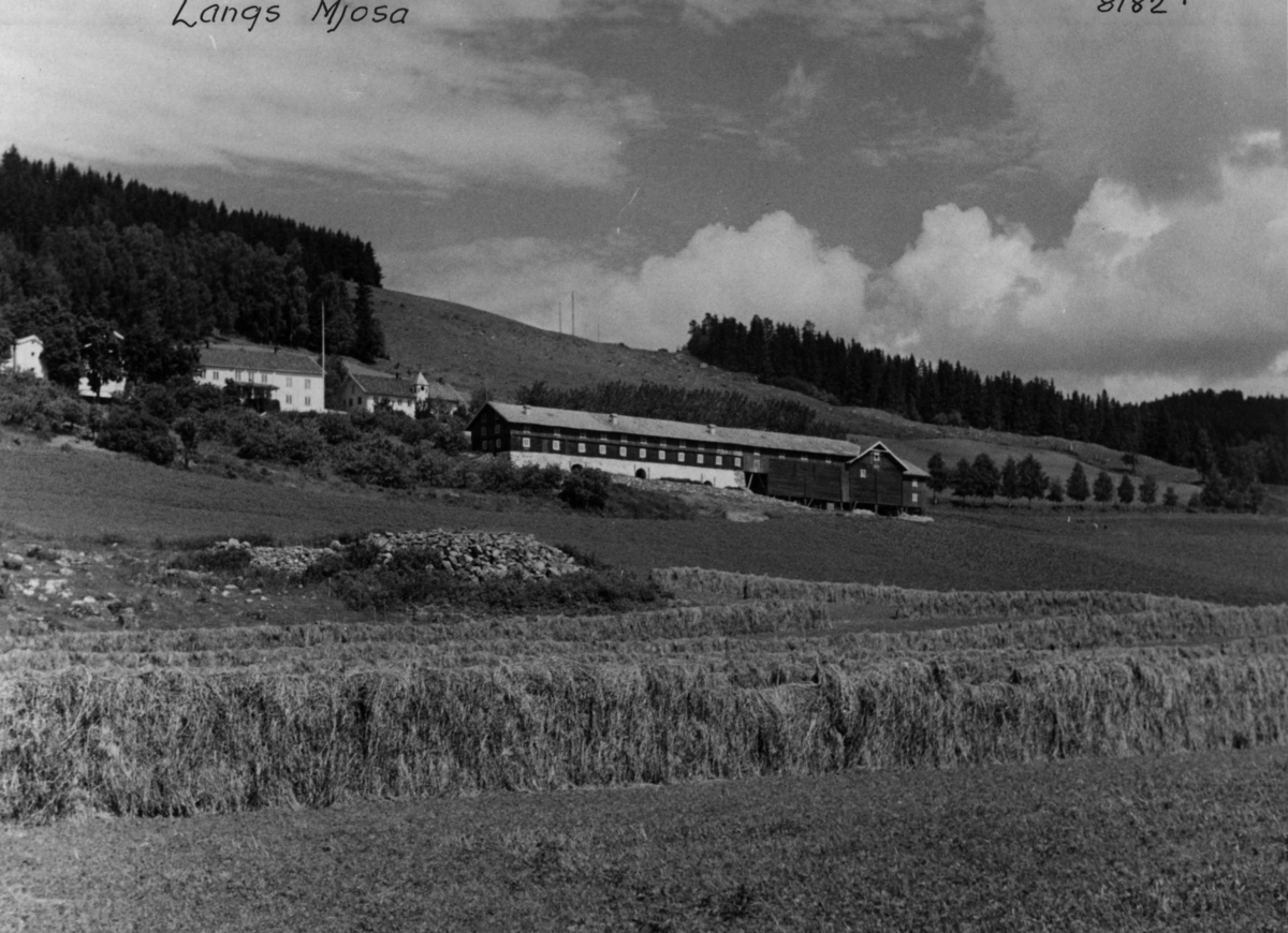 Anders Beer Wilse, Berg gård