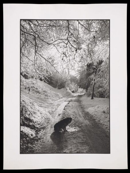 Hardy, Bert, Snow