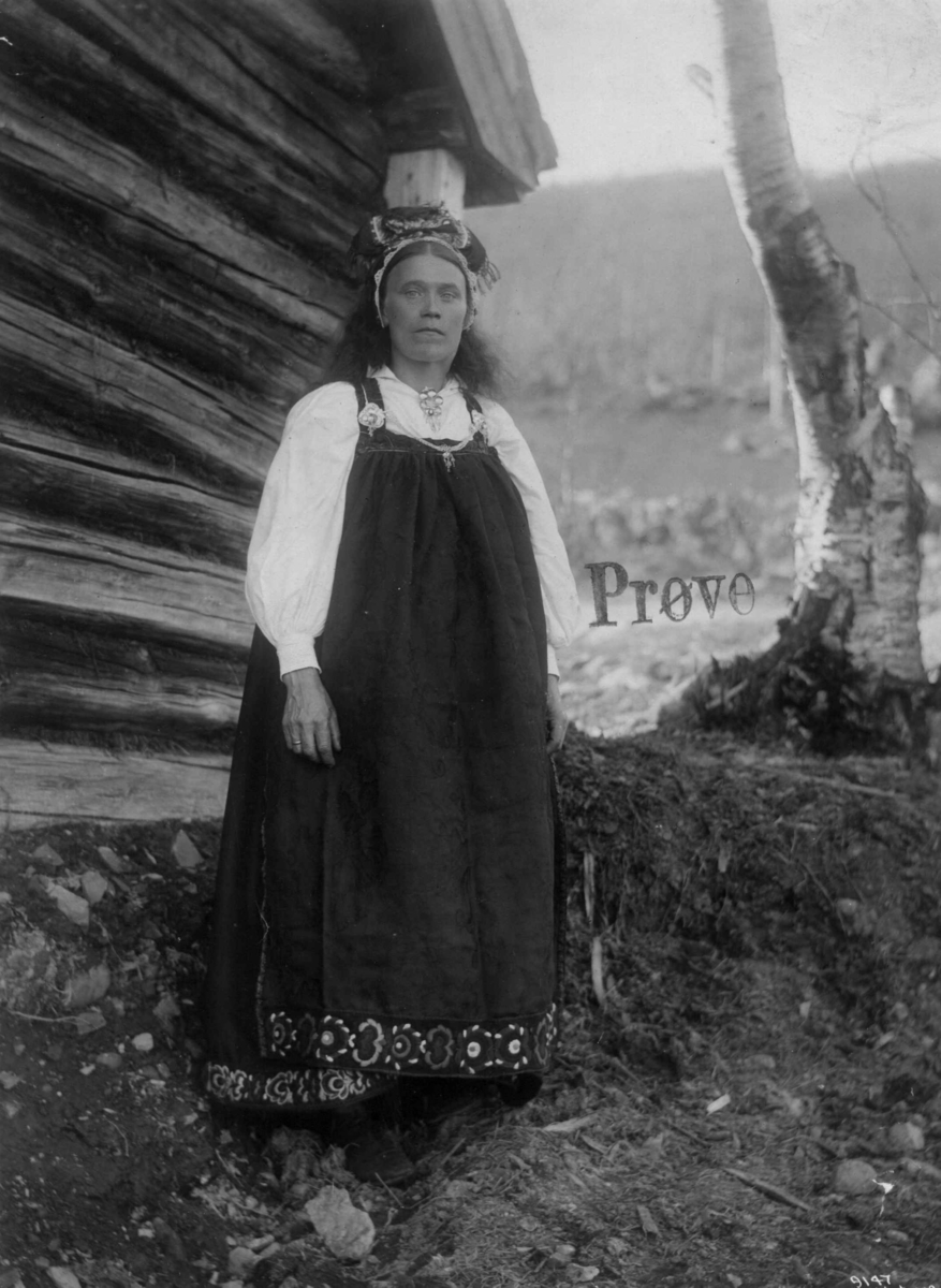 Anders Beer Wilse, Kvinnedrakt, Buskerud