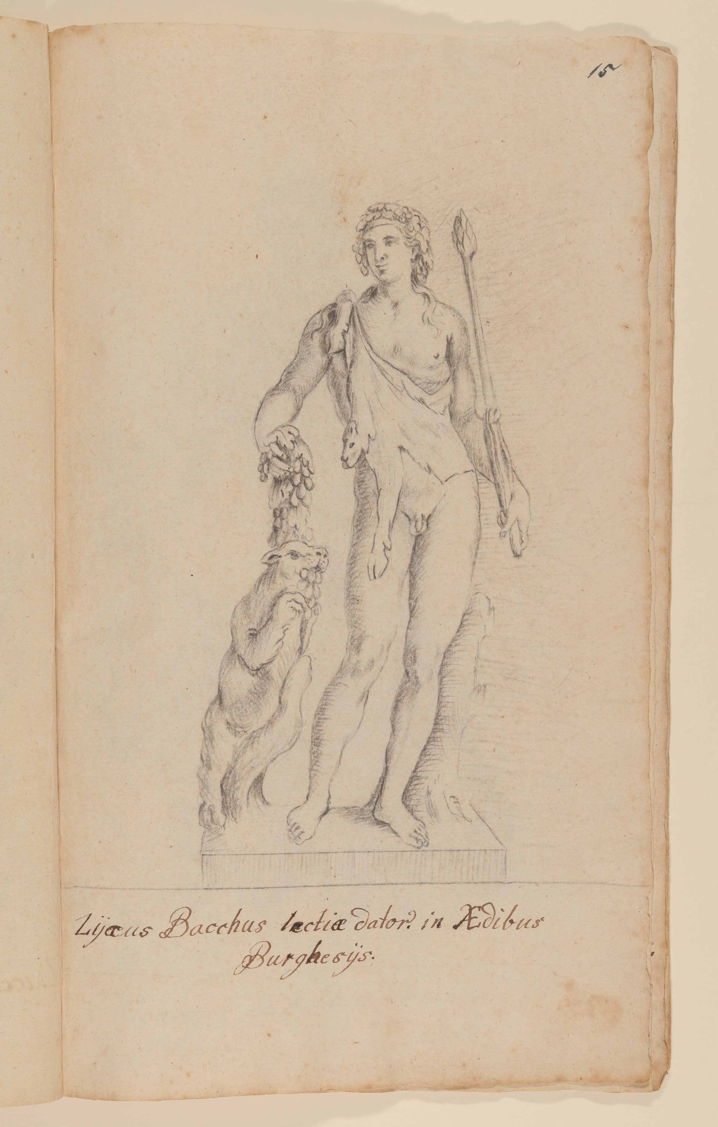 Francois Perrier (Maler), Bacchus Borghese [nach Tafel 46 von François Perriers "Icones et Segmenta Nobilium Signorum et Statuarum..." (1638)]