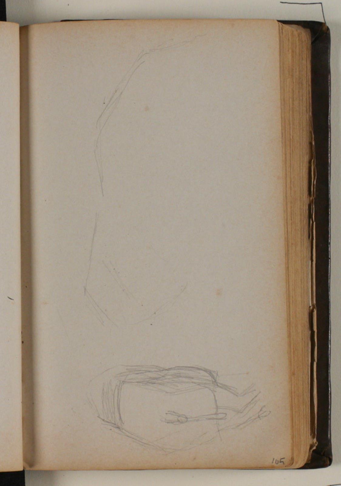 Niels Larsen Stevns, Studier af vildsvin