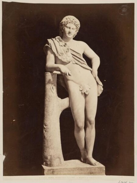 Fratelli Alinari, Photograph