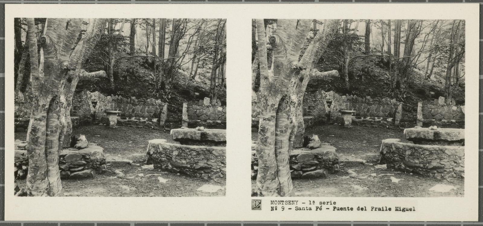 Desconegut, Montseny (Barcelona-Gerona)