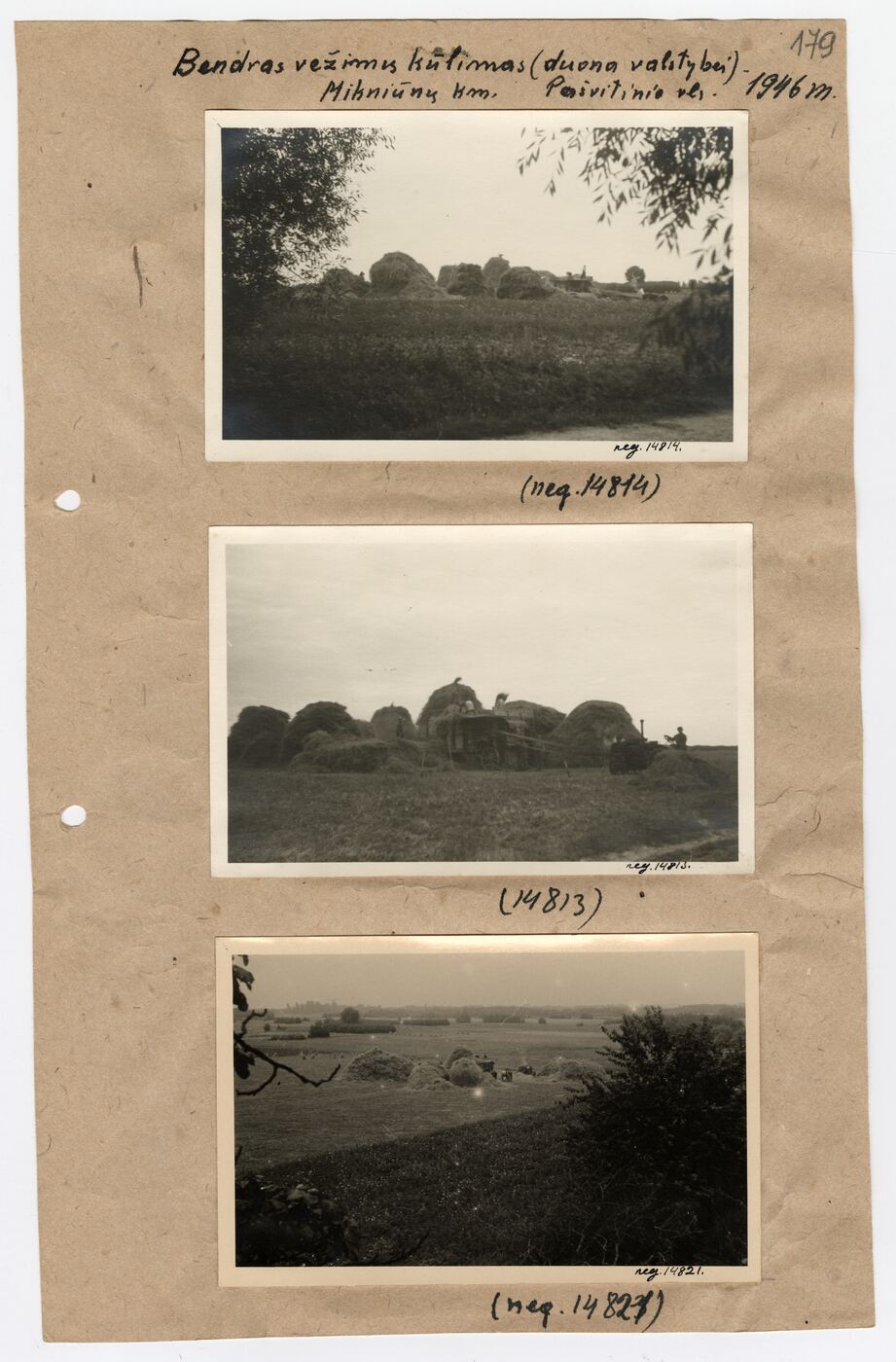 Nežinomas autorius, Archyvinės bylos Nr. 84 lapas 221. Šiaulių apskr., Pašvitinio vlsč., Mikniūnų kaimo bendro kūlimo fotografijos