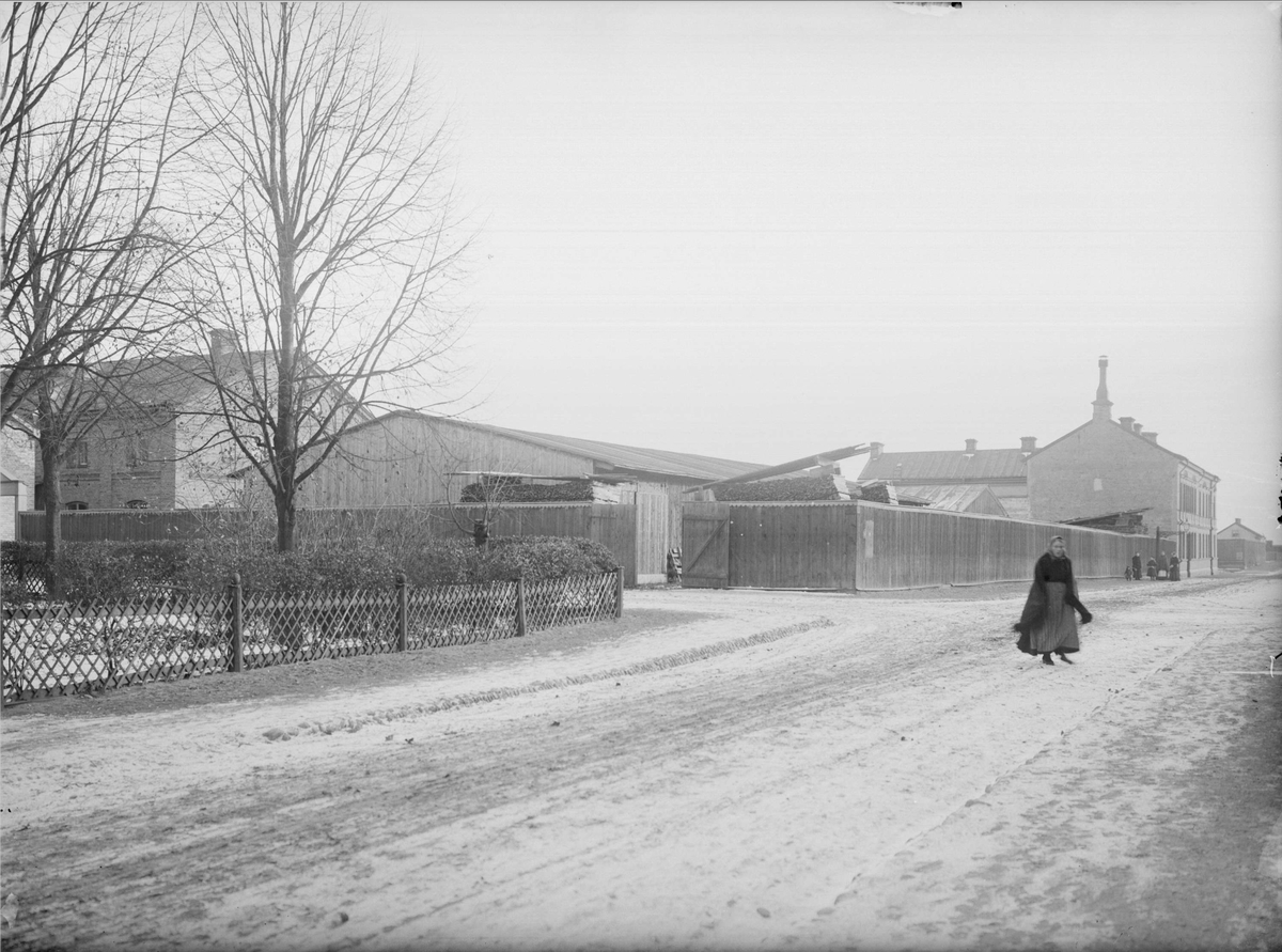Alfred Dahlgren, King Street - Cabbage Bound, The Royal Bed, Uppsala 1901 - 1902