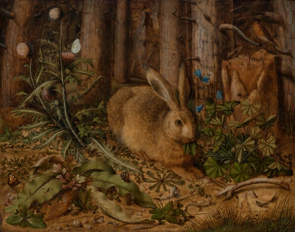 Hans Hoffmann, A Hare in the Forest