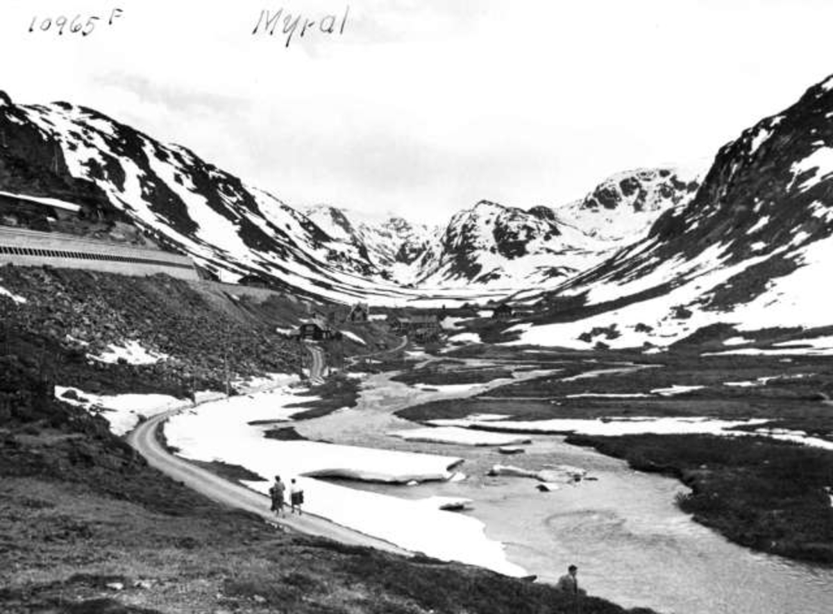 Anders Beer Wilse, -6110