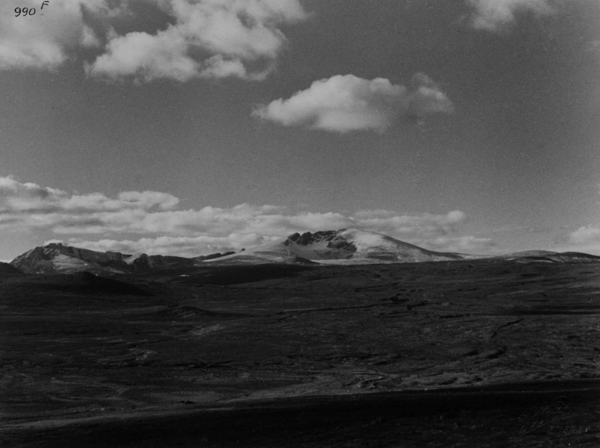 Anders Beer Wilse, Snohetta, Fjellvidde