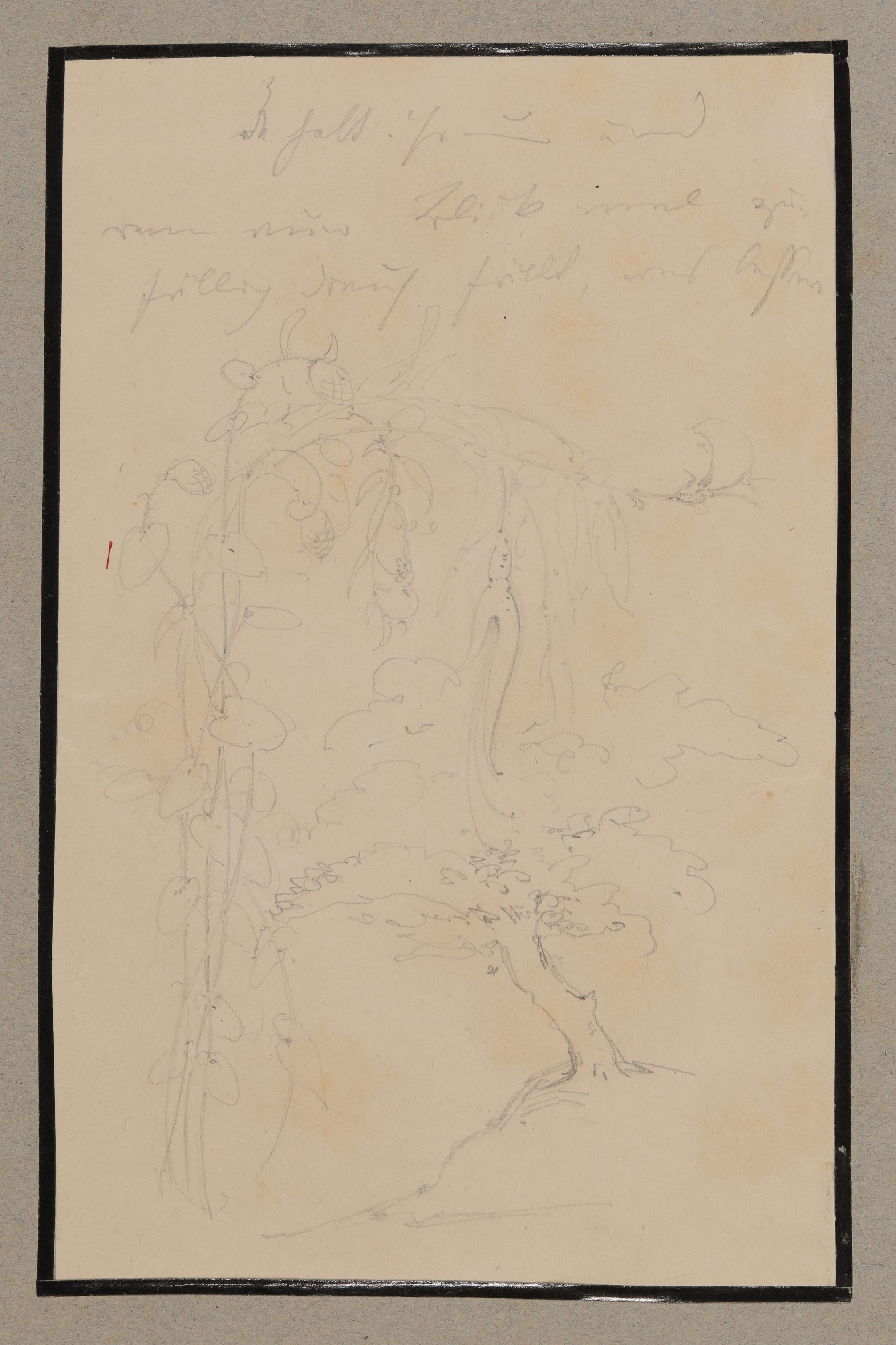 Armgart von Arnim, Landschaft, Skizze [aus der "geblümten Kassette"]
