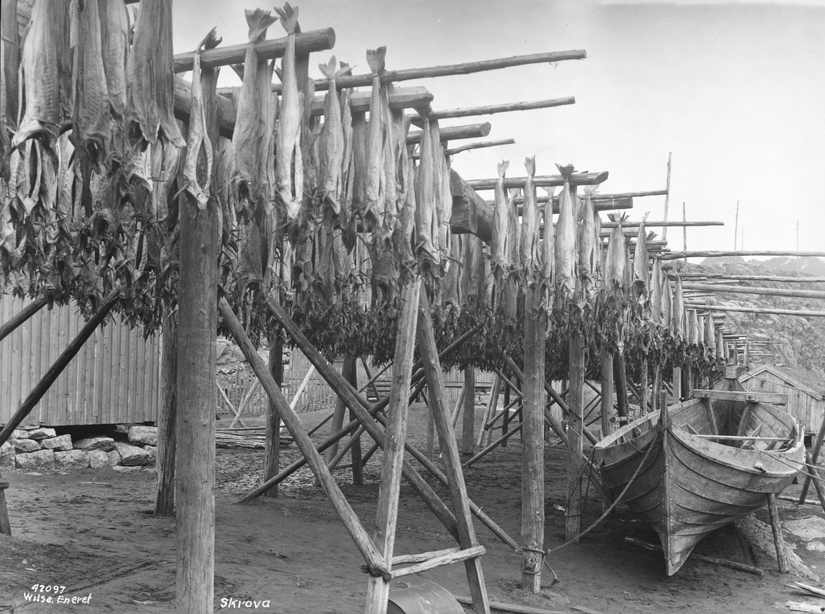 Anders Beer Wilse, Prot: Lofoten, Skrova