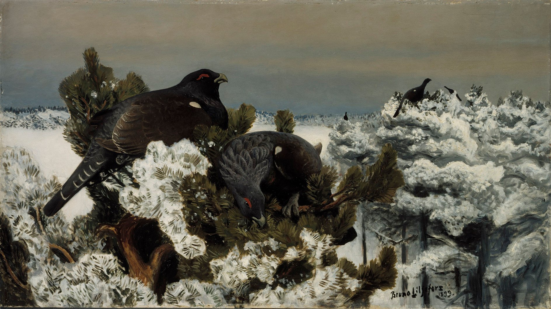 Bruno Liljefors, Capercaillies in a Winter Landscape