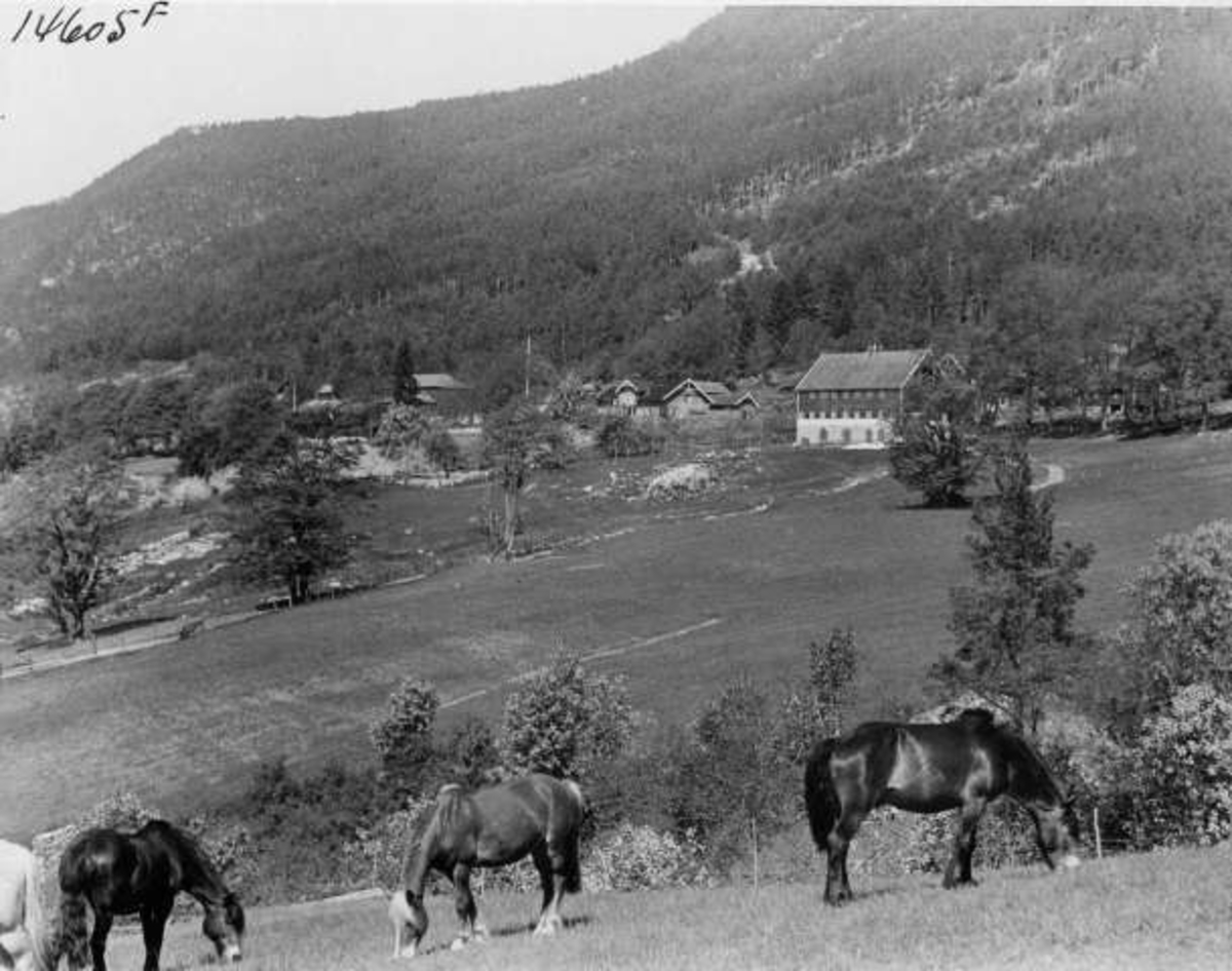 Anders Beer Wilse, -7046