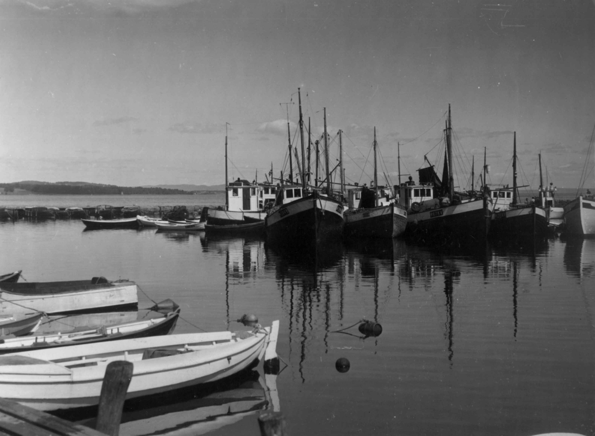 Anders Beer Wilse, Drakt, Samferdsel, Båt, Fiske, Brislingbåt