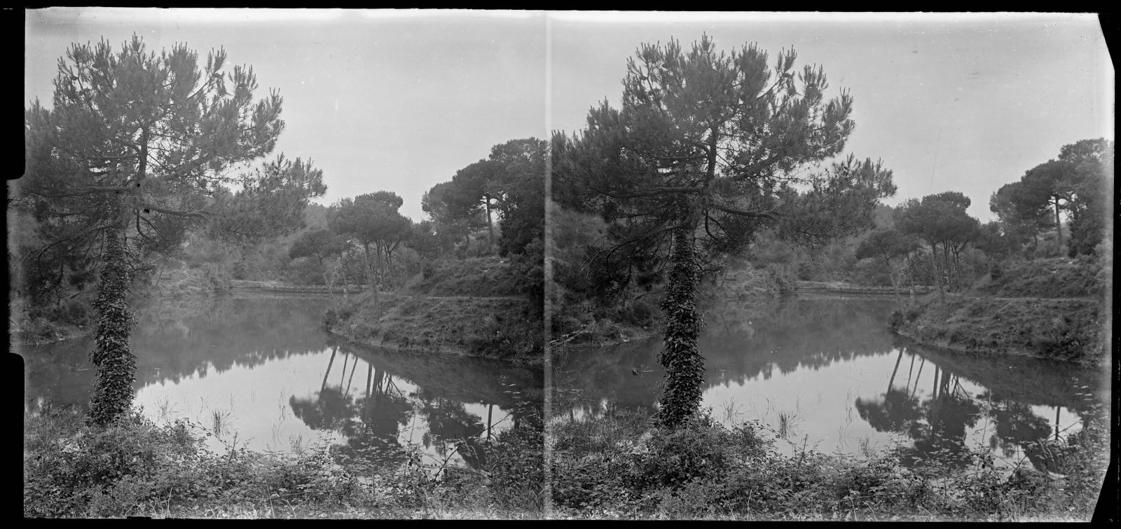 Desconegut, [Vallvidrera Marsh]