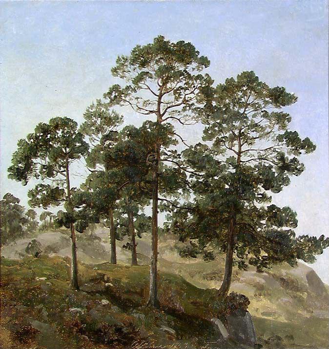 Joachim Frich, Study of Trees