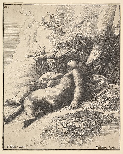 Wenceslaus Hollar, Infant Hercules asleep