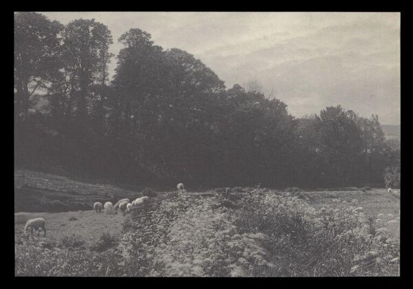Gale, Lt. Col. Joseph, Rural Life