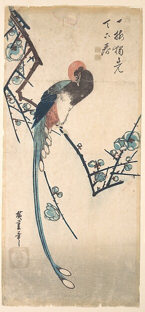 Utagawa Hiroshige, Long Tailed Bird