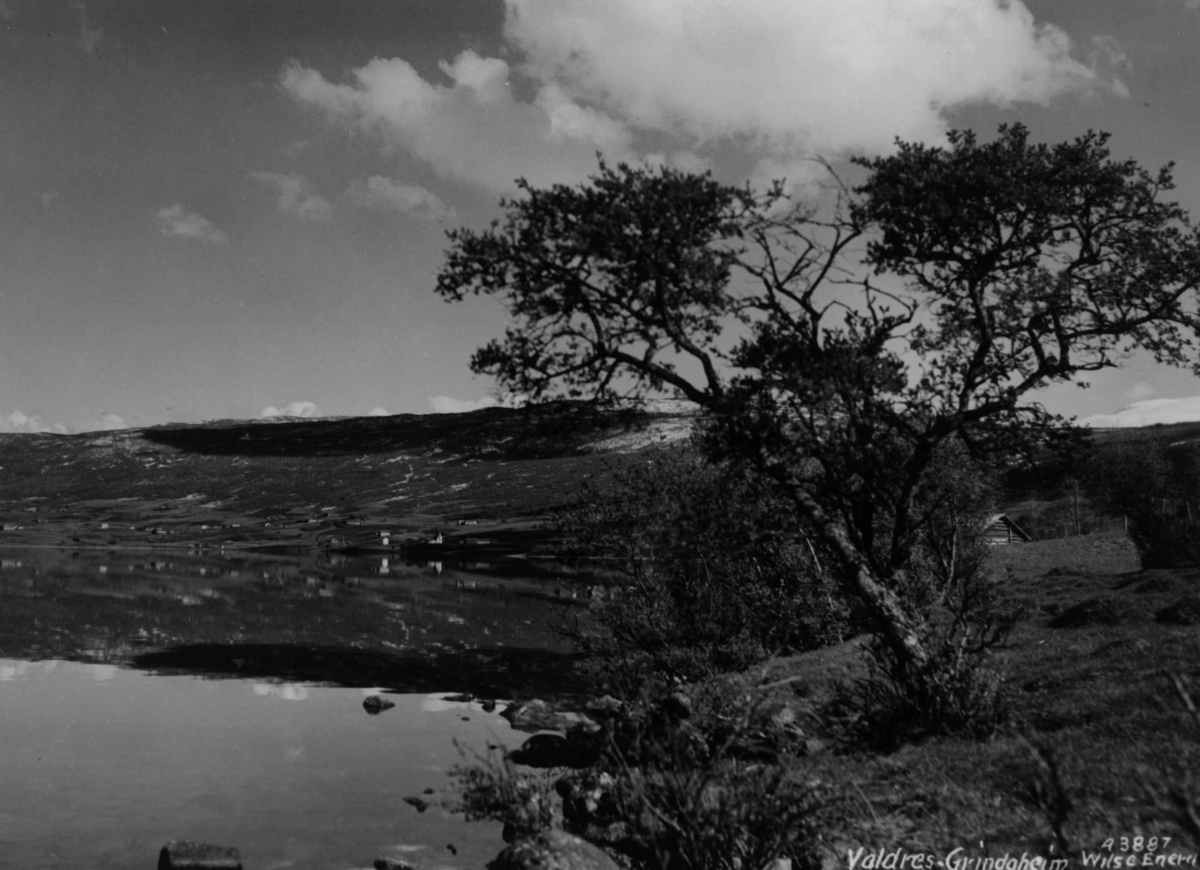 Anders Beer Wilse, Vangsmjosi Grindaheim Valdres