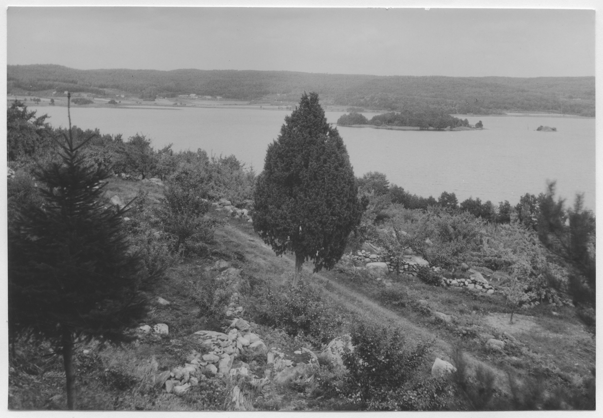 Mårten Sjöbeck, Vångaberget
