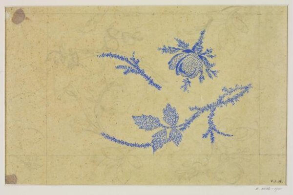 Unknown, Drawing
